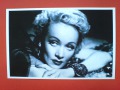 Zobacz kolekcję Marlene Dietrich szalone, szalone pocztówki