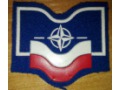 NATO Wojsko Polskie