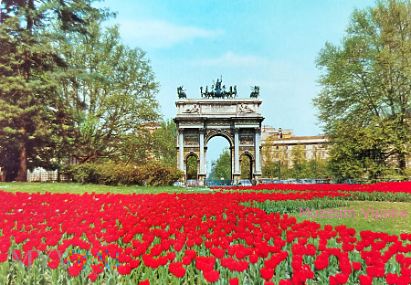 Mediolan - Arka Pokoju i tulipany