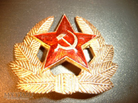 Duże zdjęcie Odznaka ZSRR