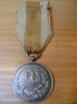 Duże zdjęcie Srebrny Medal Za Zasługi dla Pożarnictwa
