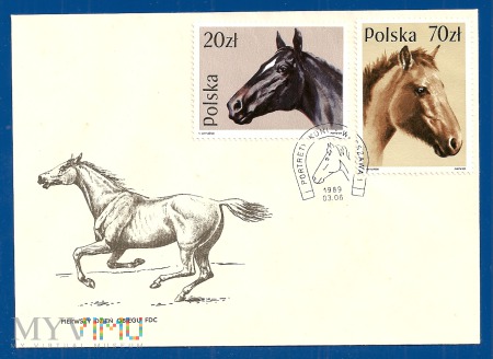 Portrety koni.6.3.1989.f
