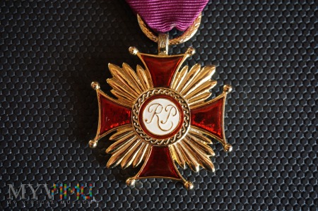 Duże zdjęcie Złoty Krzyż Zaslugi - Białkiewicz Londyn