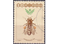 Worker Bee (Apis mellifera)