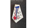 Pamiątkowa odznaka 44 Pułku Sygnałowego - Francja