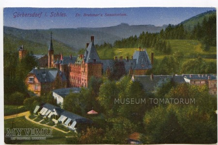 Sokołowsko - Görbersdorf - Sanatorium - lata 30-te