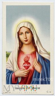 Niepokalane serce Maryi Panny