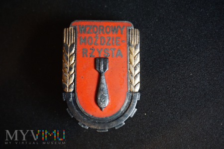 Odznaka z 1951r. Wzorowy Mozdzierzysta