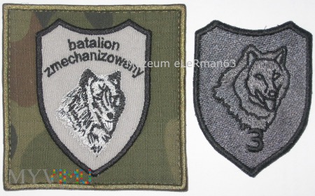 3 Batalion Zmechanizowany 9 BKPanc. Braniewo