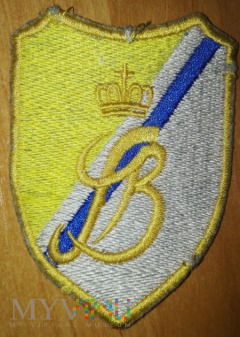 9.Braniewska Brygada Kawalerii Pancernej