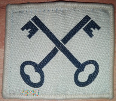 2nd Infantry Division - pustynna