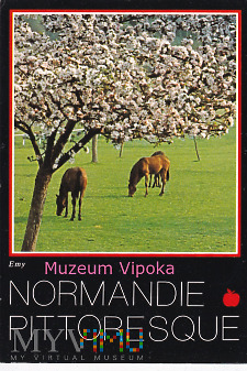 Duże zdjęcie Malownicza Normandia