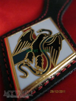 odznaka 1RE (1er Régiment étranger)