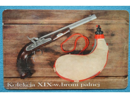 Kolekcj XIX-w. broni palnej 7 (8)