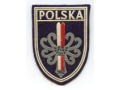 Naszywka - Polska FIS Zakopane 1962