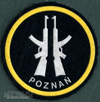 Duże zdjęcie jednostka Obrony Terytorialnej - Poznań