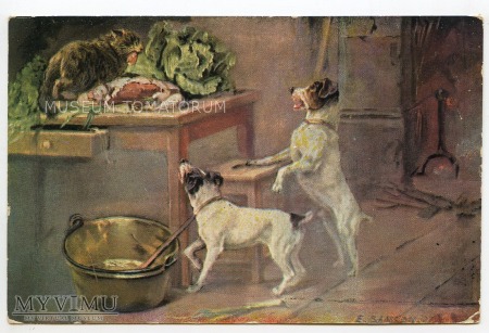 Jak pies z kotem - 1914-18