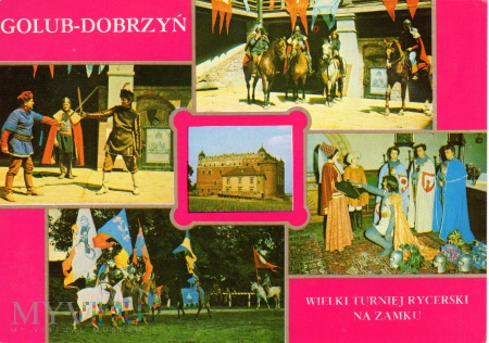 Golub Dobrzyń