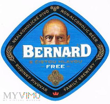 bernard s čistou hlavou free