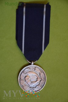 Duże zdjęcie Medal Morski