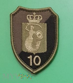 10 Warszawski Pułk Samochodowy