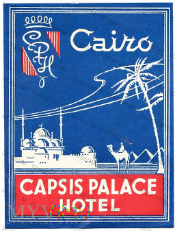 Duże zdjęcie Egipt - Kair - Hotel "Capsis Palace"