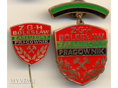 Duże zdjęcie Zasłużony Pracownik ZGH Bolesław