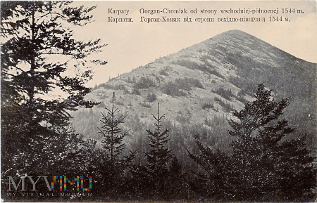 Gorgany - Chomiak od strony wschodnio-północnej