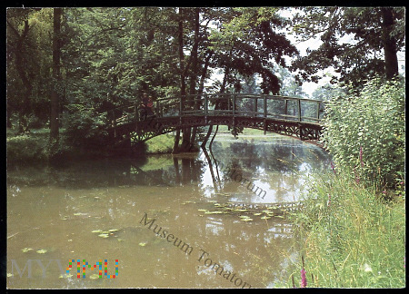 Pszczyna - Park krajobrazowy przy pałacu - 1986