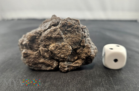 41. Al Haggounia 001- 87,7 gram- met chondr enstat