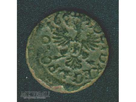 Duże zdjęcie szeląg koronny 1664 1