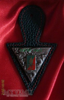 odznaka 2REP(2ème Régiment étranger de parachutis)