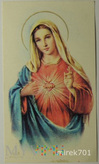 Niepokalane serce Maryi Panny