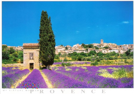 Duże zdjęcie Provence