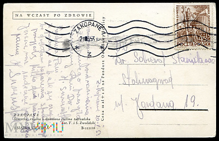 Szarotki - 1953
