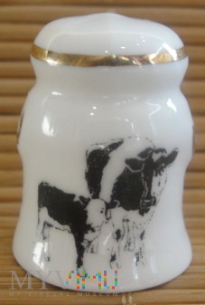 (1) KILDSWARE-bańka na mleko