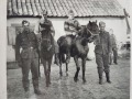 SS i żołnierze na koniach 1939