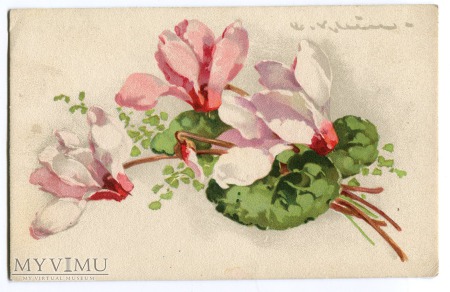 Catharina C. Klein kwiaty Flowers kompozycja