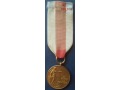 Złoty Medal Za Zasługi dla Pożarnictwa (OSP)