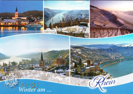 Winter am Rhein