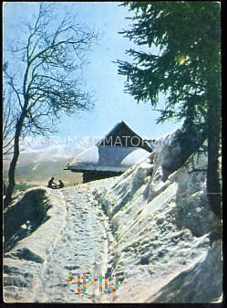 Zakopane - Widok z Gubałówki - 1958
