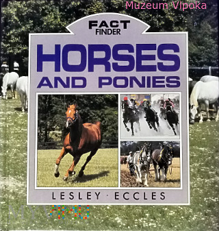 Horses & Ponies - Fact finder