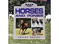 Horses & Ponies - Fact finder