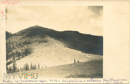 Gorgany - widok na Jawornik (1411 m) z połoniny