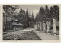 Krynica - Park - 1918/1939