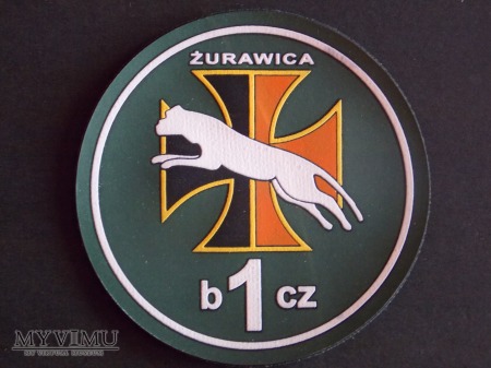 1 batalion czołgów -ŻURAWICA-14 BRYG.PANC.