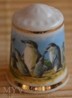 Duże zdjęcie Seria :ŚWIAT PINGWINÓW/ Pingwin mały