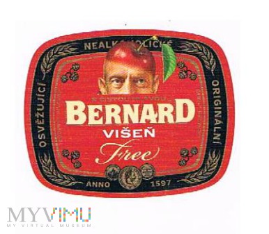 bernard višen free
