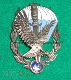 45 lat 62 ks Commando - odznaka srebrna