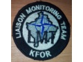 Liaison Monitoring Team